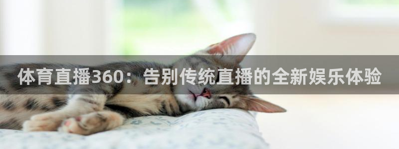 体育直播360：告别传统直播的全新娱乐体验
